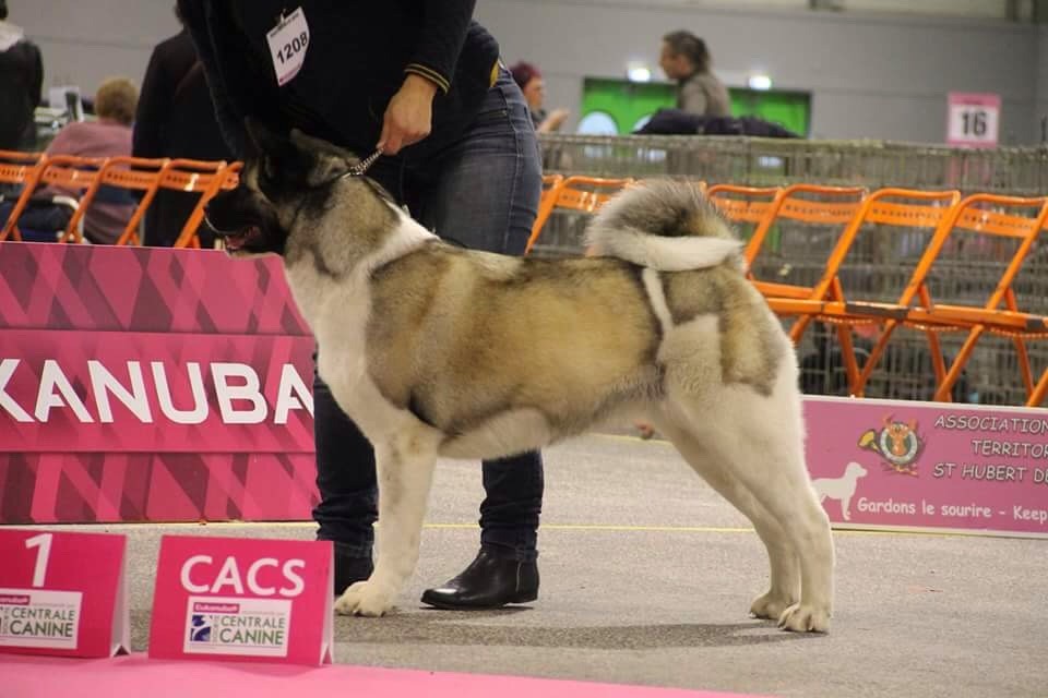 secret of gekkou Jumaï